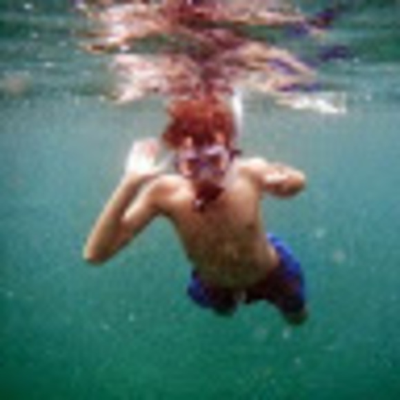 Meet your Posher, Sam - Picture 1 of 1